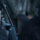 Image for article titled Why The Next "Best Actor" Oscar Could End Up Going To A Team